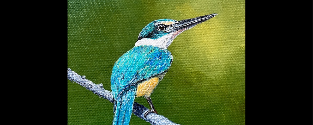 Sacred Kingfisher #2 | Chris Osborne Art